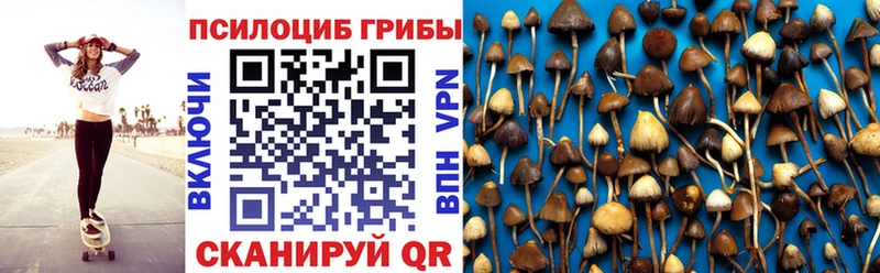 Галлюциногенные грибы Psilocybine cubensis  Купить закладки  Тотьма 